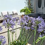 Willa Mira With A Heated Pool And A Sea View